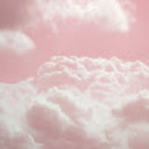 Meet your Posher, Maya